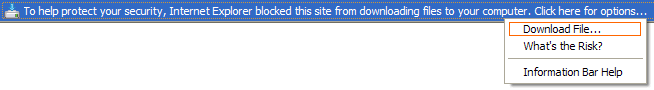 IE Warning